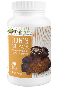 פטריית צ'אגה | MY HERBS