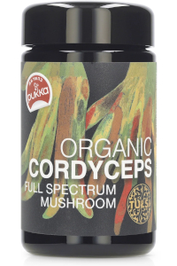 פטריית קורדיספס | טולסי ספיריט